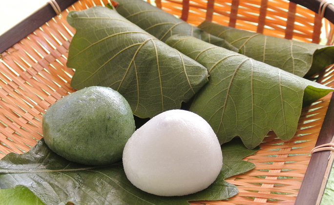 和生菓子　かしわ餅